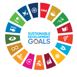 SDG6 - UN2023 Gamechanger challenge